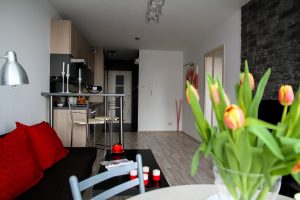 Jak sprawnie się przeprowadzić? Przeprowadzka do nowego miasta – Dąbrowa Górnicza
